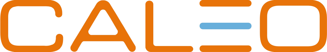 Caleo Consulting